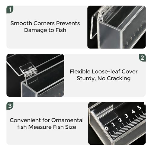 Fish Viewing Box,Acrylic Fish Breeding Box,Fishing Photo Tank,Hatching Boxes, Clear Micro Landscape Fish Tank with Scale