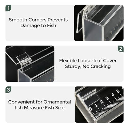 Fish Viewing Box,Acrylic Fish Breeding Box,Fishing Photo Tank,Hatching Boxes, Clear Micro Landscape Fish Tank with Scale