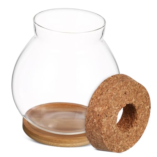 Sosoport Desktop Hydroponic Glass Fish Bowl with Mat Betta Tank for Home Office Decoration Observation Aquarium for Small Plants and Fish