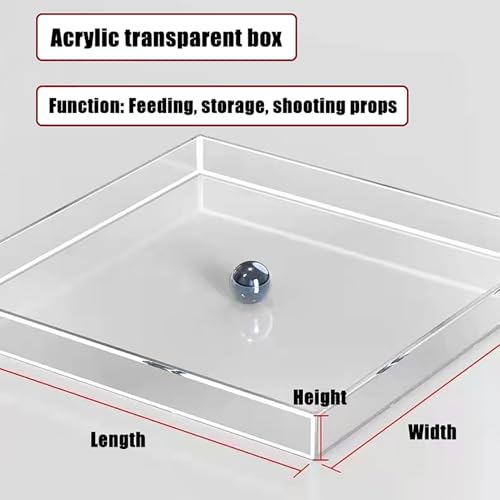 Transparent Acrylic Water Tank Display Box for Photography, Shallow Sink Prop, Deep Water Storage for Cosmetics, Coffee Tray, Desktop Organizer (30x30x5cm/11.8x11.8x2in)