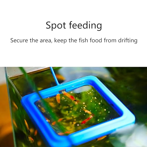 2lots Durability Silicones Feeding Frames Practical Round Floating Food for Various Aquariums Shape Durability Feeders - color: Black, size: D