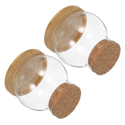 PRETYZOOM Glass Hydroponic Vases with Mat for Desktop Use Small Fish Bowls for Plant Lovers Gardening Decor