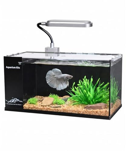 Fish Tank Kit,3.5 Gallon Small Aquarium,Ultra-Clear Nano Aquarium,Betta Fish Tank,Suitable for Small Fish Tank,Aquarium Starter kit,Desktop Fish Tank (Black Background)