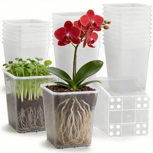 Nursery Pots 6 Inch 40 Pcs, Plastic Seed Starting Pot with Drainage Holes, Sturdy Seedling pots for Planting, Cuttings, Clear - color: Clear, size: 6 Inch-40P