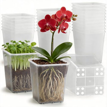 Nursery Pots 6 Inch 40 Pcs, Plastic Seed Starting Pot with Drainage Holes, Sturdy Seedling pots for Planting, Cuttings, Clear - color: Clear, size: 6 Inch-40P