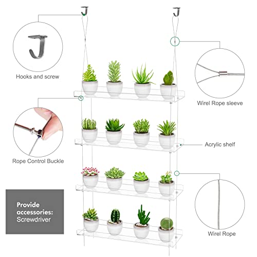 OtNiap Clear Hanging Window Plant Shelves, 2-Pack 4-Tier, 16-Inch Stand | Adjustable Indoor wall plant holder for herbs, microgreens and potted plants. Maximizes window space while displaying plants - size: 2 Pack-4 Tier