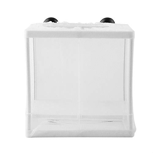 Fish Breeder, Suction Cup Design with Isolation Board, Fish Isolation Box, Breeder Net for Aquarium and Shrimp Separation