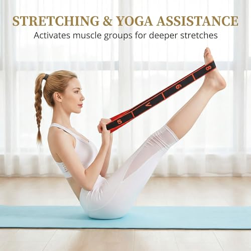 Fitness Resistance Band with Numbered Sections,2026 Elastic Tension Band Exercise Pull Rope - color: Red+Pink+Blue, size: 8+10+12 Section