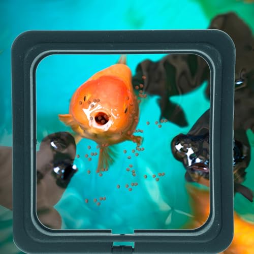 NUOBESTY 4pcs Aquarium Feeding Rings Fish Feeder Circles Wear Resistant Small Fish Tank Feeders Portable Feeding Device for Tropical and Aquarium Use