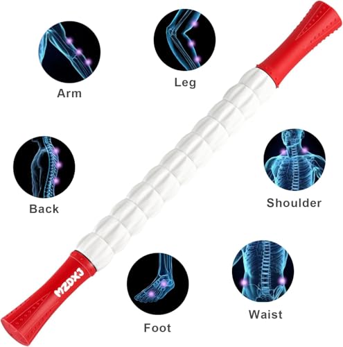 Muscle Roller Massage Roller Stick- Deep Tissue Fascia Blaster for Myofascial Pain Relief, Lymphatic Drainage & Body Sculpting, Handheld Physical Therapy & Recovery Tool (Red White inch) - color: Red White