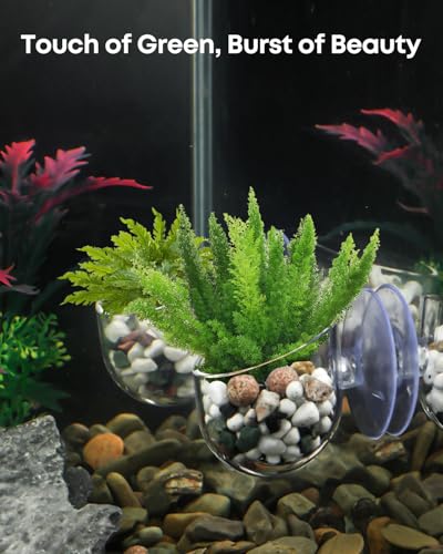 Pawfly 2 Pcs Aquarium Plant Holder, Fish Tank Plant Pot for Aquascape Decoration, Red Worm Fish Feeder, Aquarium Planter Cup with Suction Cup, Clear. - size: 2 Pack
