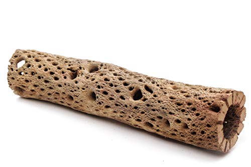 3, 6, 9, 12 Inch All Natural Teddy Bear Cholla Wood Extra Hollow Untreated Organic Aquarium Driftwood Decoration Chew Toy Shrimp Crab Cichlid Nano Tank Birds 1 or 5 Pieces (1 Piece, 12 inch) - size: 1 Piece, 12 inch