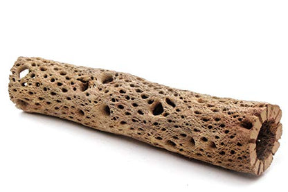 3, 6, 9, 12 Inch All Natural Teddy Bear Cholla Wood Extra Hollow Untreated Organic Aquarium Driftwood Decoration Chew Toy Shrimp Crab Cichlid Nano Tank Birds 1 or 5 Pieces (1 Piece, 12 inch) - size: 1 Piece, 12 inch