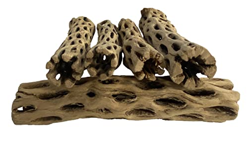 Awesome Aquatic Natural Cholla Choya Wood 5 Pieces 6” for Shrimp Habitat and Food Treat Hermit Crabs Plecos Aquarium Decoration Lowers pH Hideouts and Chew Toys Reptiles Thorn Free Dried Organic - size: 5 pc 6 inch