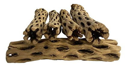 Awesome Aquatic Natural Cholla Choya Wood 5 Pieces 6” for Shrimp Habitat and Food Treat Hermit Crabs Plecos Aquarium Decoration Lowers pH Hideouts and Chew Toys Reptiles Thorn Free Dried Organic - size: 5 pc 6 inch