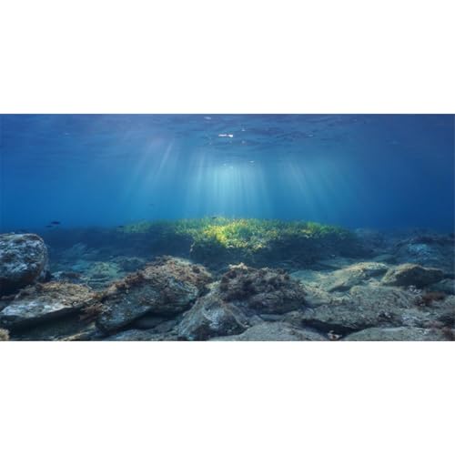 AWERT Ocean Floor Fish Tank Background Underwater Stone Aquarium Background 72x18 inches Vinyl - size: 72x18in/180x45cm
