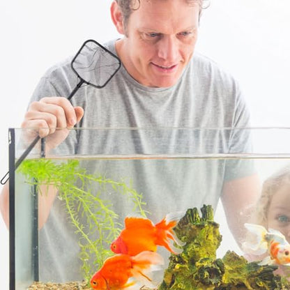 3pcs Aquarium Fish Net Set Handheld Fine Mesh Shrimp and Fish Landing Nets Pool and Aquarium Cleaning