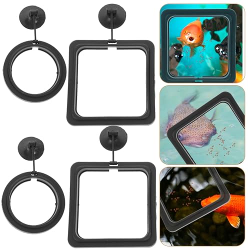 BESPORTBLE 4pcs Fish Feeding Rings Aquarium Accessories Reusable Wear-Resistant Floating Fish Feeder Rings with Suction Cup for Tropical Tank Feeding