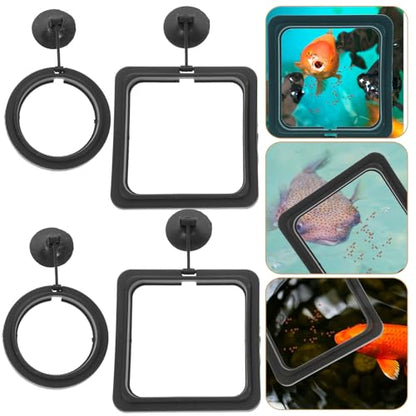 BESPORTBLE 4pcs Fish Feeding Rings Aquarium Accessories Reusable Wear-Resistant Floating Fish Feeder Rings with Suction Cup for Tropical Tank Feeding