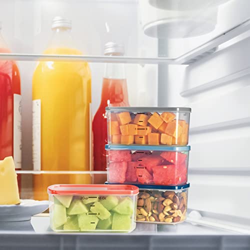 Fit & Fresh Small Plastic Containers With Lids 16 oz, Small Snack Containers With Lids For Adults and Kids, Reusable Leakproof Dressing and Condiment Containers With Two Attachable Ice Packs, 4PK, Light - size: 2 Cup