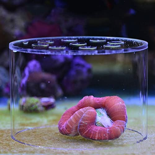 Acrylic Transparent Feeder Cover, Anti Feeding Shrimp Aquarium Accessory, Feeding with Feeding Tube for Fish Tank, Safe Reproduction Cover for Marine Life (150mm) - style: 150mm