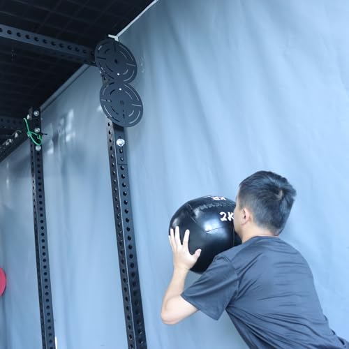Metal Double Wall Ball Target with Extension Medicine Ball Target Rack Mounted Power Cage Attachments for Strength Endurance Arm Triceps Biceps Workouts - size: Hole Diameter:1"