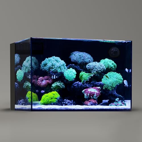 Landen 60P 26.23 Gallon Ultra Clear All Glass Rimless Low Iron Aquarium Tank with Rear Filtration Chamber for Salt and Fresh (Return Pump Included) 23.6Wx17.7Dx15.8H in(60x45x40cm) 8mm Thickness