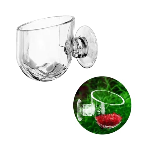 Pack of 10 Aquariums Plant Holder Suction Cup Designs Acrylic Feeding Bowl for Shrimp and Small Fish Feeding