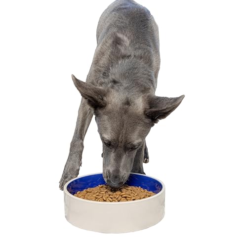 SPOT Standard Crock Dish - Heavy Duty, Non-Slip, Round Ceramic Food/Water Bowl for Pets, Ideal for Medium to Large Dogs or Multiple Animals, Dishwasher Safe - 9.5 in, 8 Cups, (64 Oz) - size: 9.5"