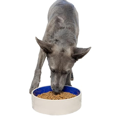 SPOT Standard Crock Dish - Heavy Duty, Non-Slip, Round Ceramic Food/Water Bowl for Pets, Ideal for Medium to Large Dogs or Multiple Animals, Dishwasher Safe - 9.5 in, 8 Cups, (64 Oz) - size: 9.5"