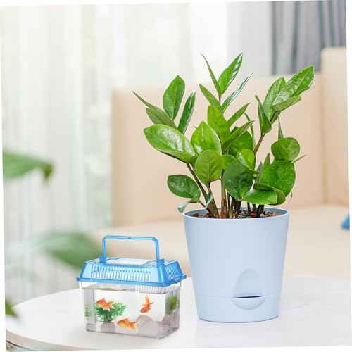 Toddmomy 5pcs Portable Small Plastic Fish Tank Handheld Aquarium Box for Reptile Habitat and Goldfish Feeding Transparent Mixed Color Turtle and Hamster Carrier