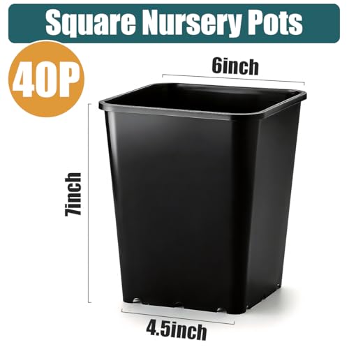 Nursery Pots 6 Inch 40 Pcs, Plastic Seed Starting Pot with Drainage Holes, Sturdy Seedling pots for Planting, Cuttings (Black) - color: Black, size: 6 Inch-40P