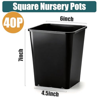 Nursery Pots 6 Inch 40 Pcs, Plastic Seed Starting Pot with Drainage Holes, Sturdy Seedling pots for Planting, Cuttings (Black) - color: Black, size: 6 Inch-40P