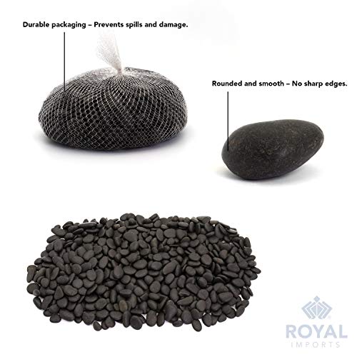 Royal Imports River Rocks, Aquarium Gravel – Black 1"- 1.5" - 2 lbs | Decorative Ornamental Vase Filler Pebbles for Potted Plants, Terrariums, Vases, Succulents, Fish Tank Gravel, DIY & Crafting - size: 1"- 1.5" - 2 lbs, style: Black