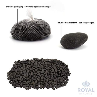 Royal Imports River Rocks, Aquarium Gravel – Black 1"- 1.5" - 2 lbs | Decorative Ornamental Vase Filler Pebbles for Potted Plants, Terrariums, Vases, Succulents, Fish Tank Gravel, DIY & Crafting - size: 1"- 1.5" - 2 lbs, style: Black