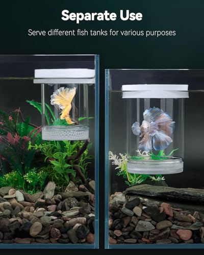 Pawfly Breeder Box for Fish Tank, Aquarium Fish Breeding Box, Floating Guppy Breeder Box, Baby Fish Separator for Aquarium, Plastic Hatchery Incubator Isolation Box for Shrimp Betta Clownfish, Medium - size: Medium