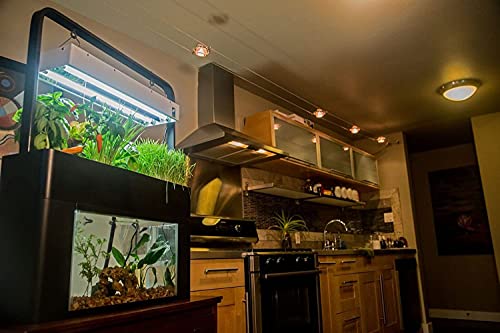 Aquaponics Garden, Self-Sustaining Desktop Aquarium Hydroponics Ecosystem Kit, fits Standard 10 Gallon Aquariums