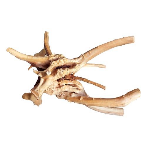 Natural Large Driftwood for Aquarium Decor Fish Tank Decor Reptile Decor | Assorted Driftwood Branch, Natural Driftwood for Aquascaping and Reptile Decor - size: Spiderwood 13 to 17 Inch(Pack of 1)