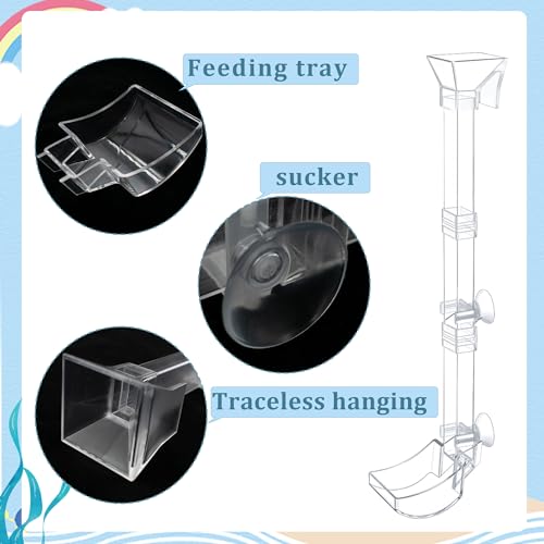 Aquarium Fish Shrimp Feeding Dish Set Clear Fish Feeder Tube and Dish with Cleaning Brush and Measuring Spoon for Feeding Shrimp and Preventing Food Scattering Feeding Supplies for Shrimp Large - size: Large