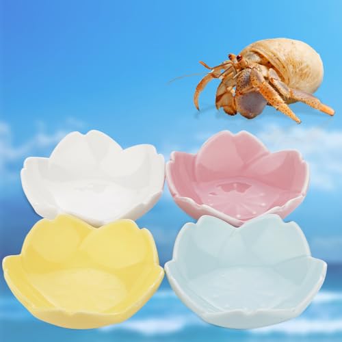 4 Pack Ceramic Food & Water Bowls Dual Dish Reptile Feeding Set for Hermits Crabs, Lizards, Geckos, Small Snakes and Snails