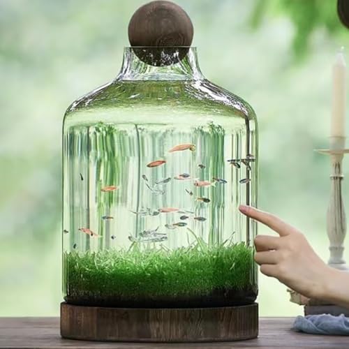 Glass Aquarium with Wooden Base, Microecosphere Fish Tank, Transparent Bottle-Shaped Batta Fish Bowel, Micro-Landscape Ecological Aquarium, Modern Glass Goldfish Tank,XL - color: Xl