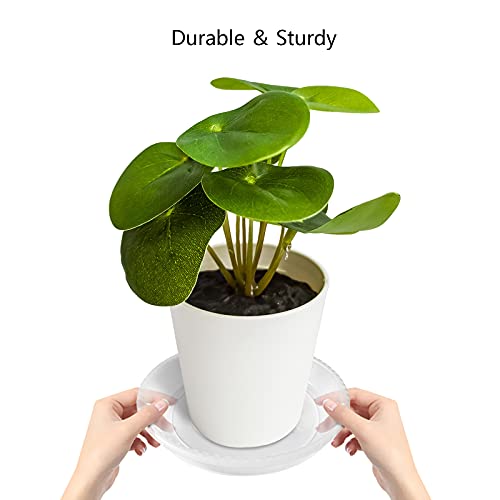 6 Pack Clear Plant Saucer 6 8 10 inch, Durable Plastic Plant Trays for Indoor, Round Flower Plant Pot Saucer, Sturdy Plant Water Catcher Tray - size: 6+8+10 inch