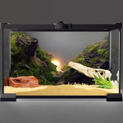 AWERT River Bed & Lake Aquarium Background Sunshine Aquatic Plant Fish Tank Background Vinyl 36x20 inches - size: 36x20in/90x50cm