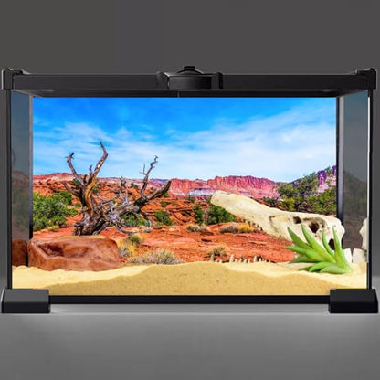 48x24 in Reptile Habitat Backdrop Blue Sky Oasis Desert Terrarium Backdrop | AWERT Orange Desert Durable Polyester Background - size: 48x24in/120x60cm
