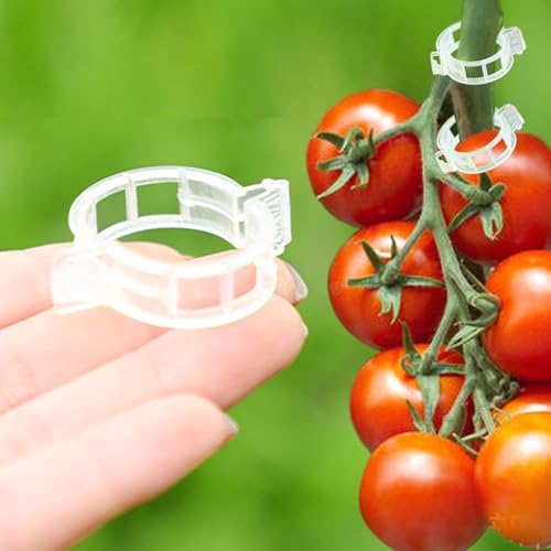 Plant Support Clips -100PK, White Tomato Clips for String Trellis, Grape Vine Clips for Garden Netting Climbing Plants, Secured Plastic Plant Clips