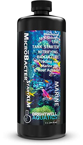 Brightwell Aquatics MicroBacter Start XLM Marine Tank Cycling Aid, 1L - size: 1-L