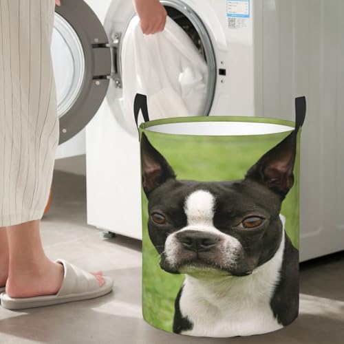 Boston Terrier Round Waterproof Oxford Cloth Laundry Basket Multi-Purpose Storage Basket Toys Books Clothes Storage Basket - color: Black 5