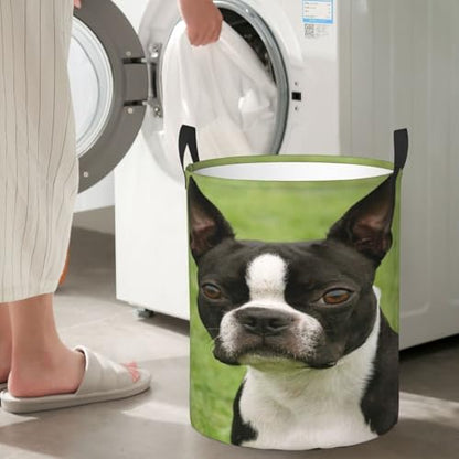 Boston Terrier Round Waterproof Oxford Cloth Laundry Basket Multi-Purpose Storage Basket Toys Books Clothes Storage Basket - color: Black 5