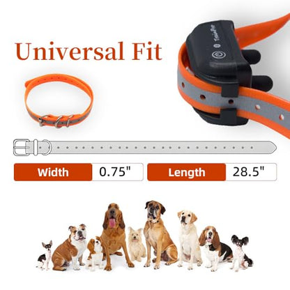 Waterproof TPU Replacement Strap for Dog Training Collar, 27.5 in - color: Orange Reflect