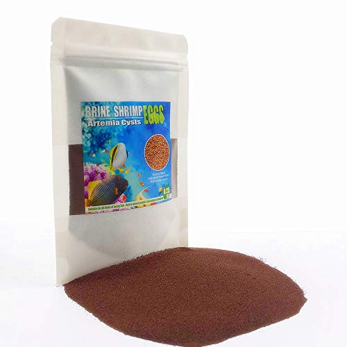 AAA Brine Shrimp Eggs - 90%+ Guaranteed Hatch Rate, Nutrient-Rich Live Fish Food for Baby Fry, Guppies, Bettas & Marine Life - High Protein GSL Artemia Cysts - size: 0.5 Ounce (Pack of 1)